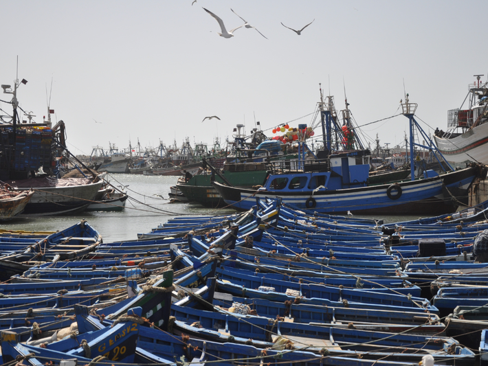 Essaouira, la perla del Atlántico