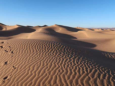 Spectacular dunes of the Erg Chegaga, one of the most impressive areas of the Moroccan desert, essential for the traveler.